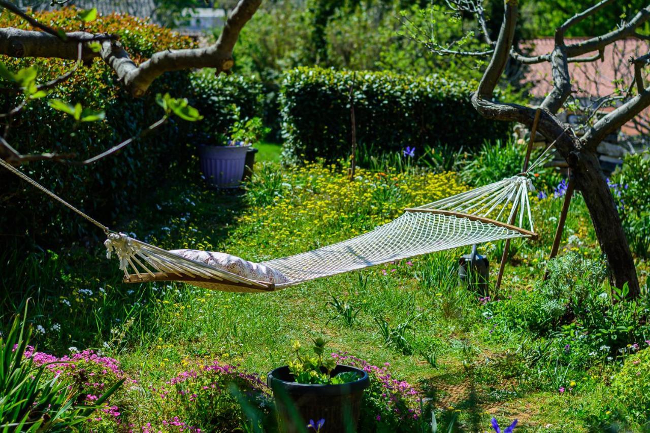 Apartment Macan, Beautiful Green Oasis Πούλα Εξωτερικό φωτογραφία